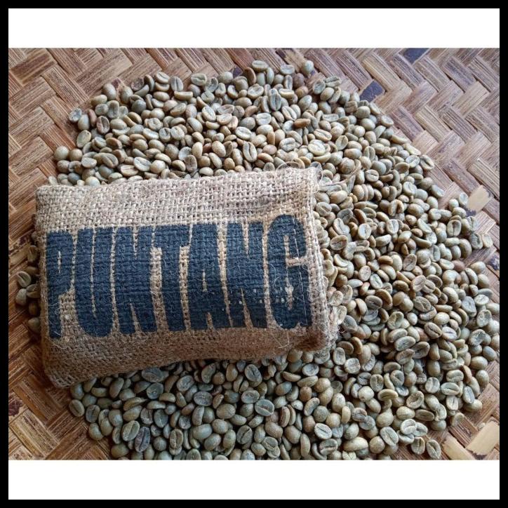 

DISKON TERBATAS !!! KOPI PUNTANG RED HONEY (GREEN BEANS) TERLARIS