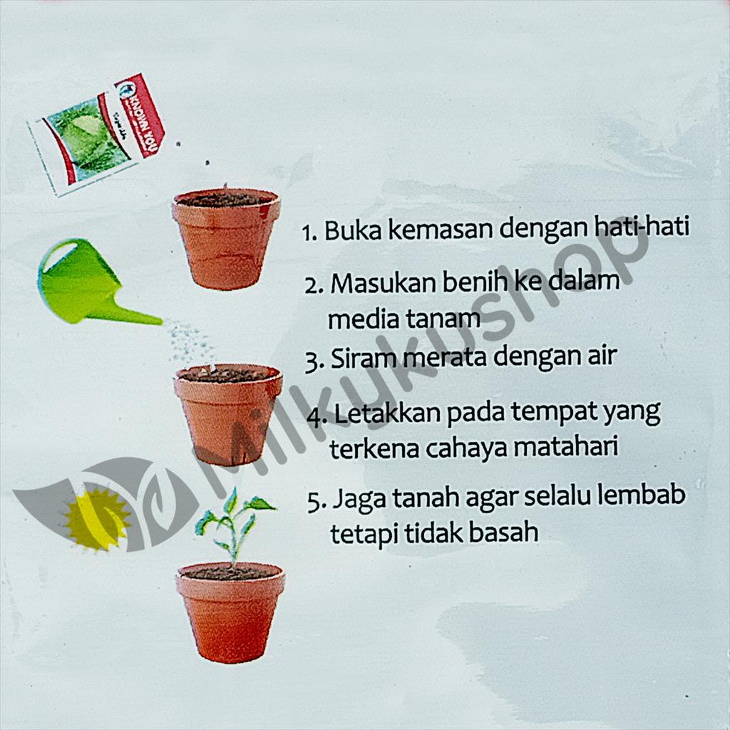 BENIH KYS KNOWN YOU DAUN BAWANG FRAGRANT 5 GRAM KEMASAN PABRIK