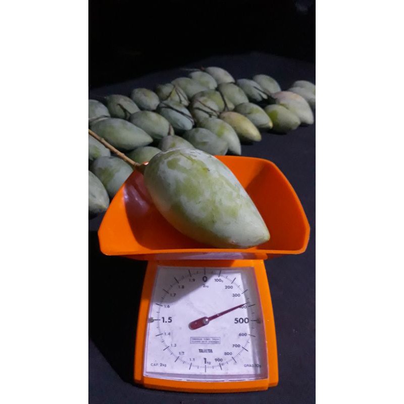 

Mangga Lokmai