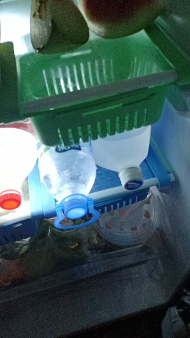 Rak Kulkas Laci Kulkas Jadi Muat Lebih Banyak Kotak Penyimpanan Makanan A801