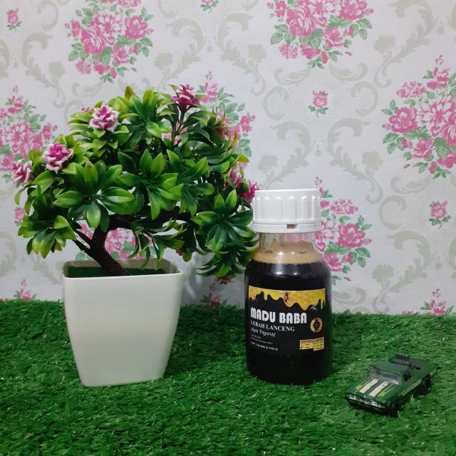 

Madu Hutan Liar Murni Lanceng Hitam Multiflora (Pahit) 350 gram - Program Hamil