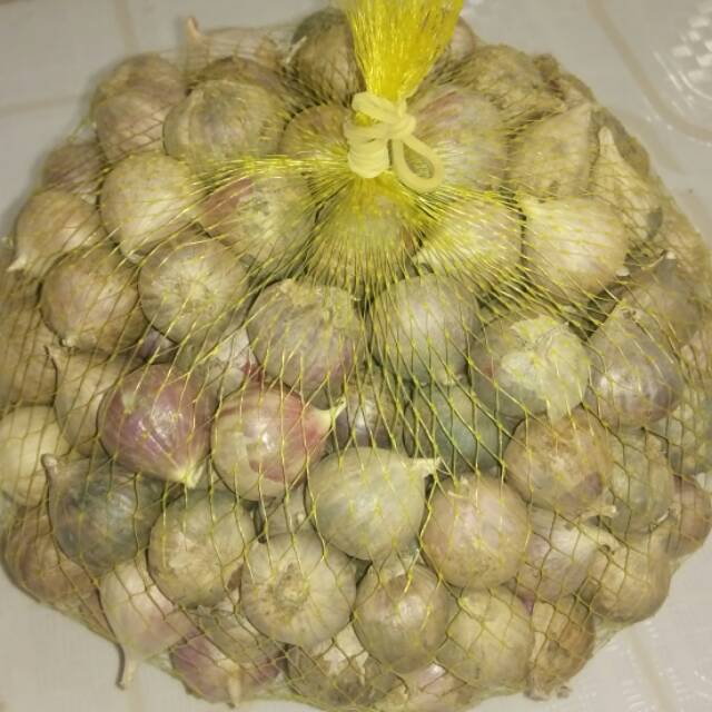 

Bawang lanang tunggal 500 gram (ukuran besar)