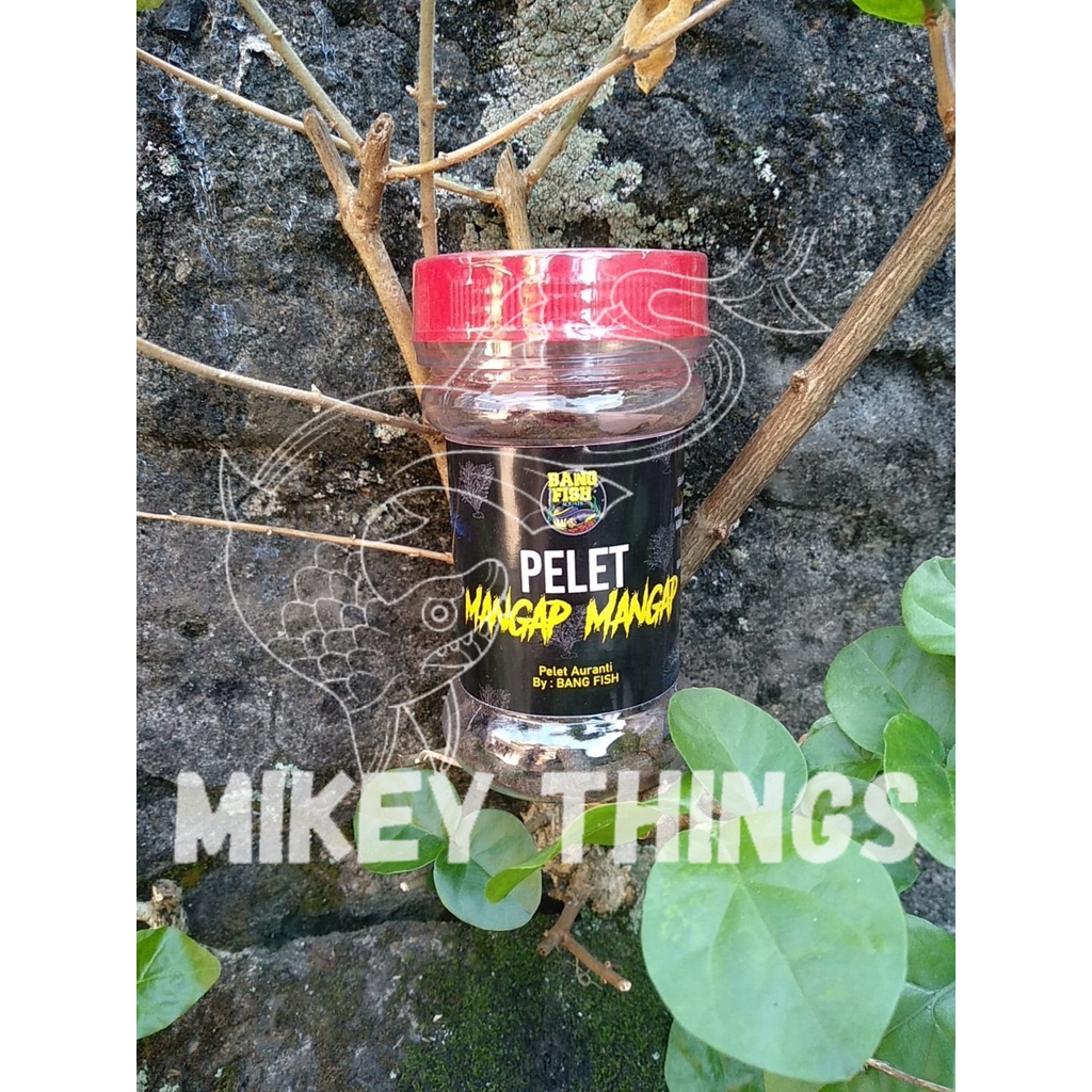 PELET AURANTI MANGAP MANGAP BANG FISH
