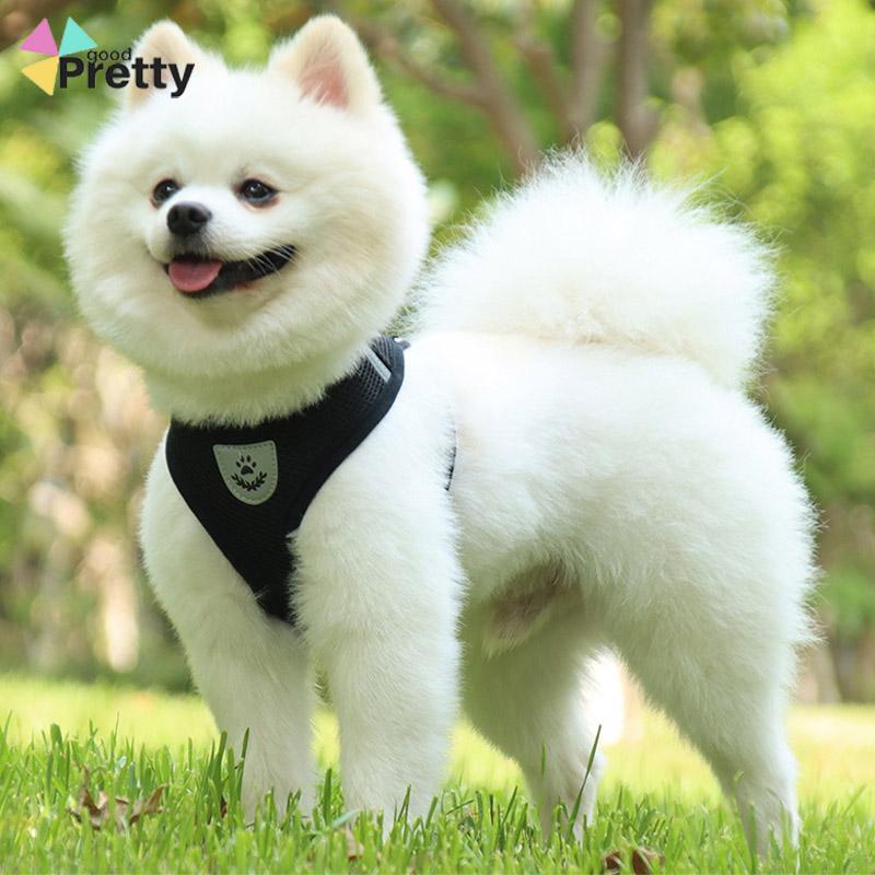 Pet Chest Back Leash Mesh Strip Reflektif Crossing Road Perlengkapan Hewan Peliharaan tahan aus - PD