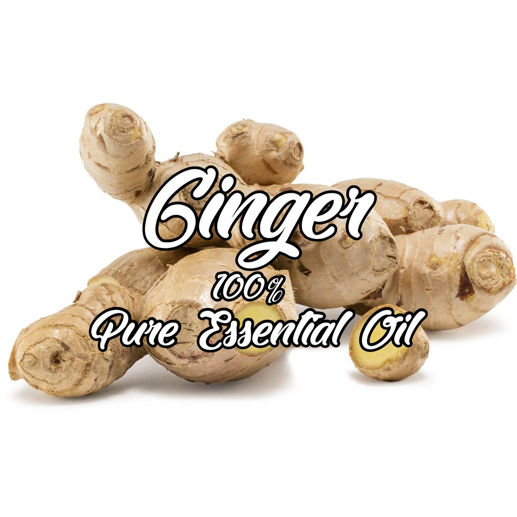 Ginger 100% Pure Essential Oil 1 L