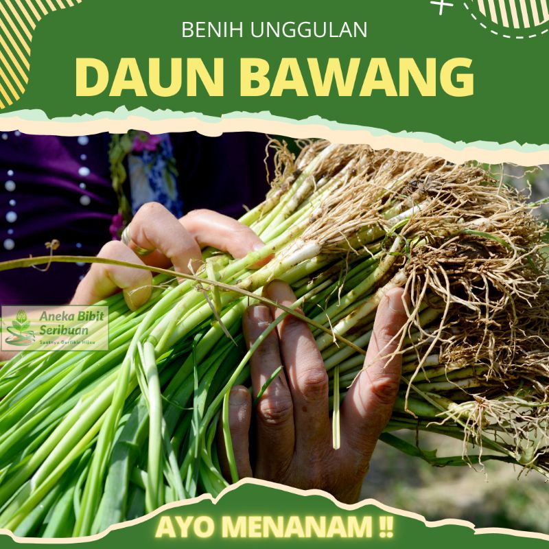 Benih Daun Bawang unggulan