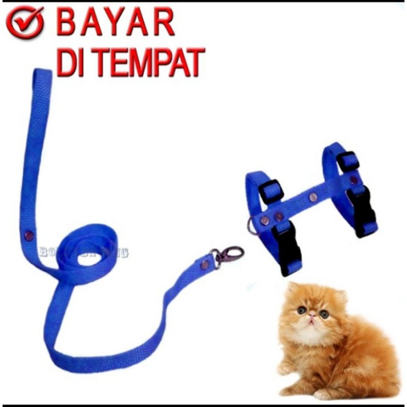 TALI TUTUN HERMES H Musang Outer Puppy Monyet Pengikat Hewan