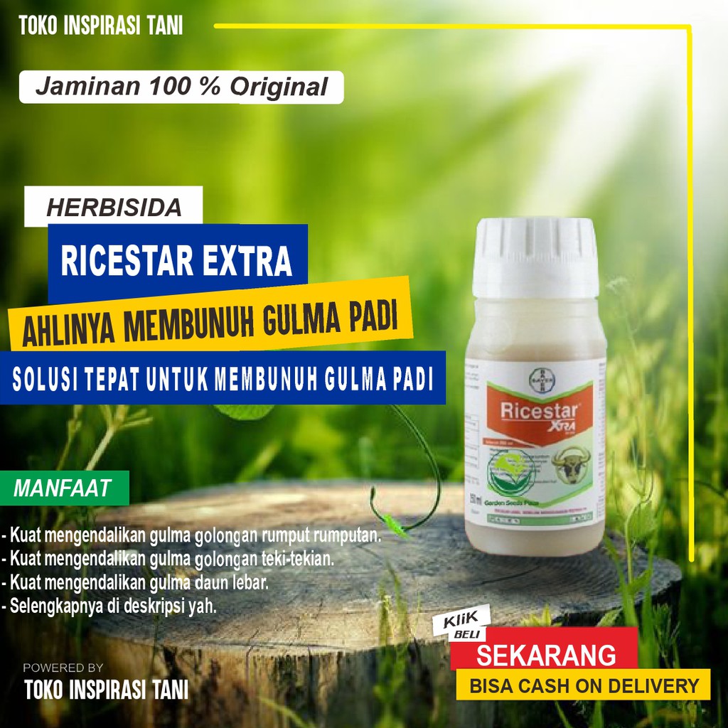 Herbisida Ricestar Pengendali Gulma Padi/PromoHerbisida Padi Ricestar 100 ml/Herbisida Padi 100 ml