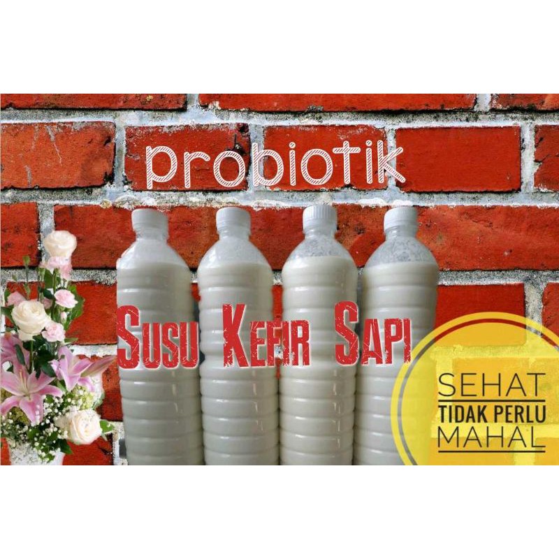 

SUSU KEFIR SAPI 500ml F24/F48