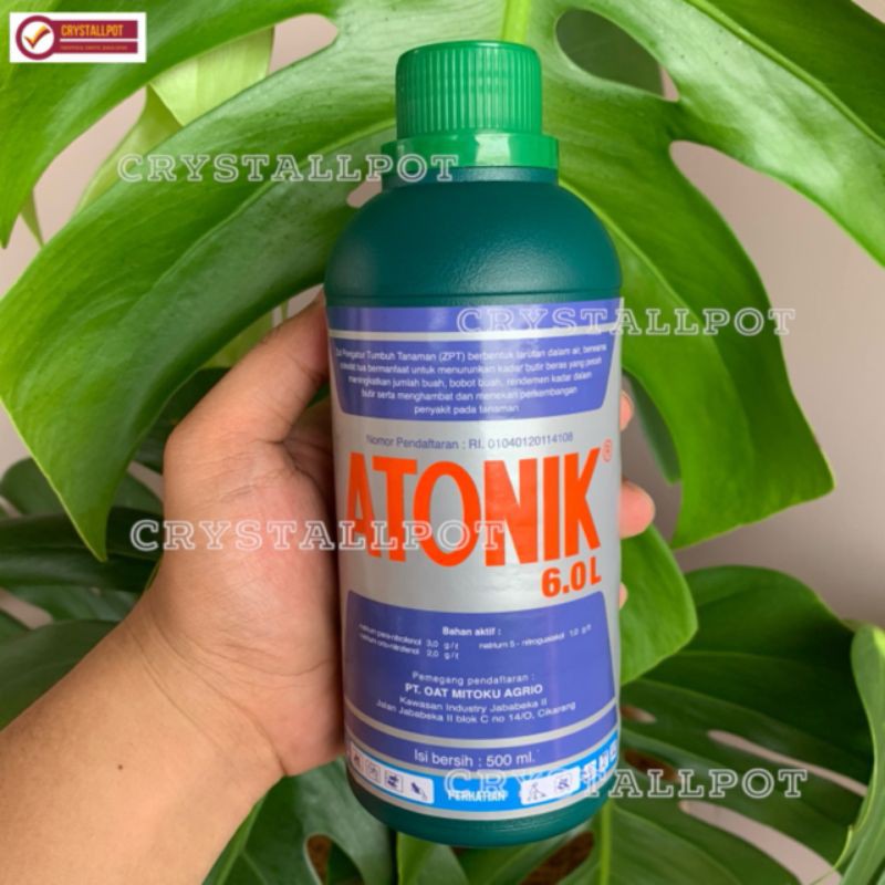 pupuk hormon zat pengatur tumbuh atonik 6.0L 500ml