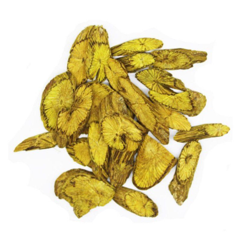 

Akar kuning/bajakah akar kuning/bajakah kuning 10gram
