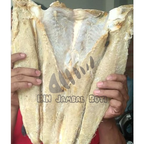 

Ikan Asin JAMBAL ROTI SUPER Pangandaran 1 kg