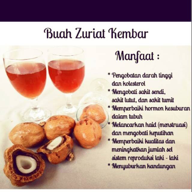 Buah Zuriat Untuk Penyubur Kehamilan ( 4 buah )