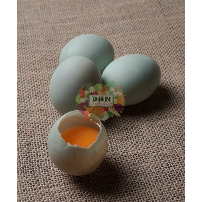 

Telur Bebek Mentah