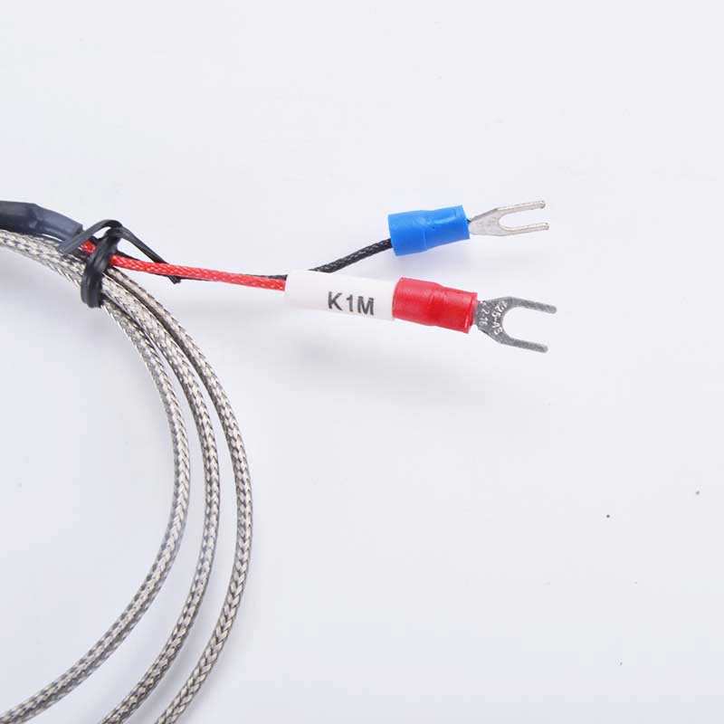 Sensor Suhu Thermocouple K Temperature Probe M6 Temperature module