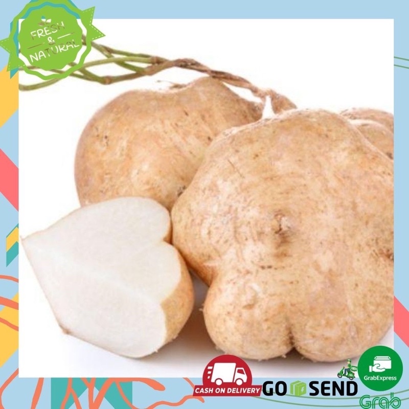

Bengkoang buah Segar Surabaya