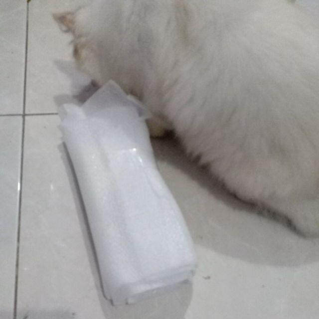 Kucing Dan Foundation Sabun Shampo