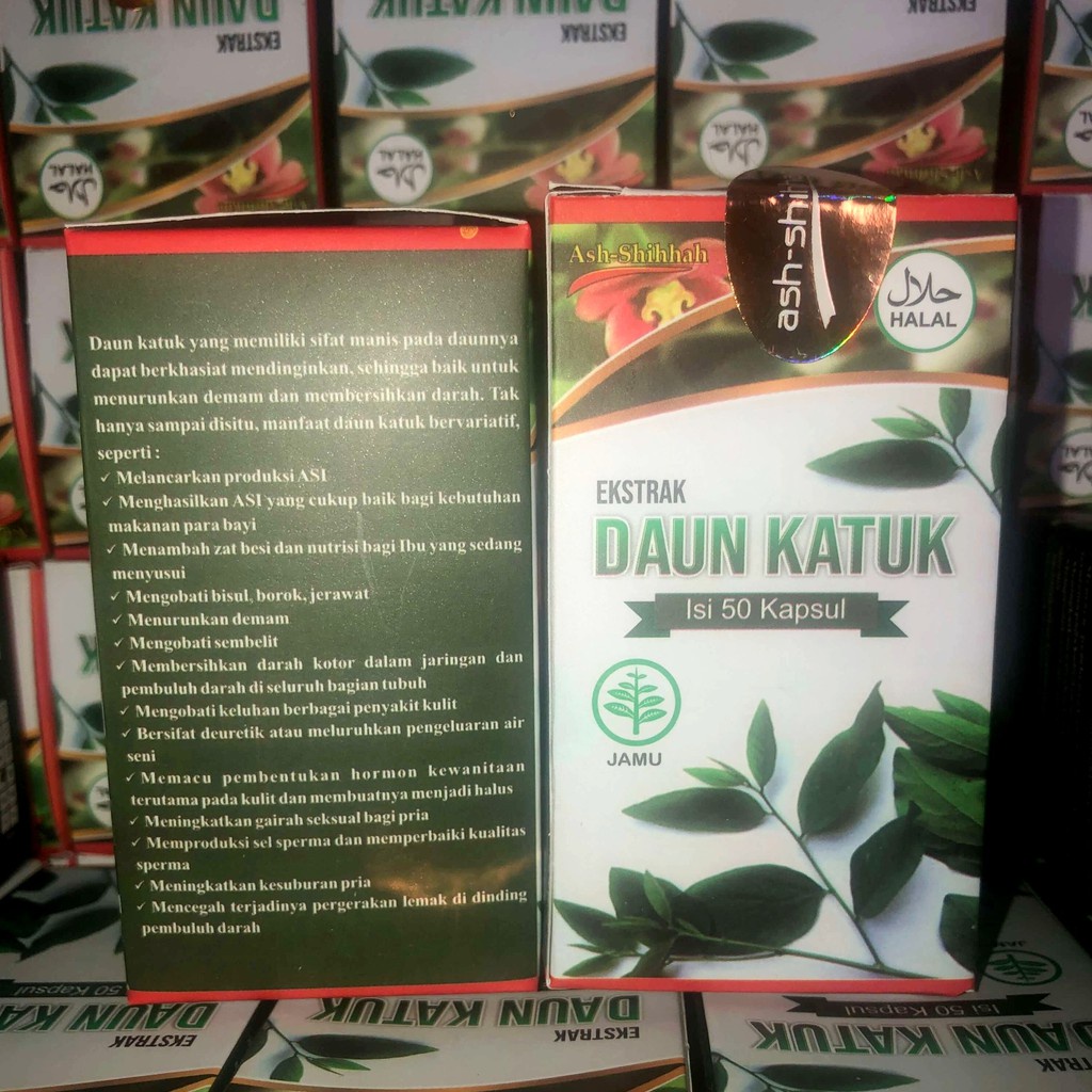 KAPSUL DAUN KATUK – HERBAL IBU MENYUSUI UNTUK KEBUTUHAN NUTRISI BAYI (ASI BOOSTER)