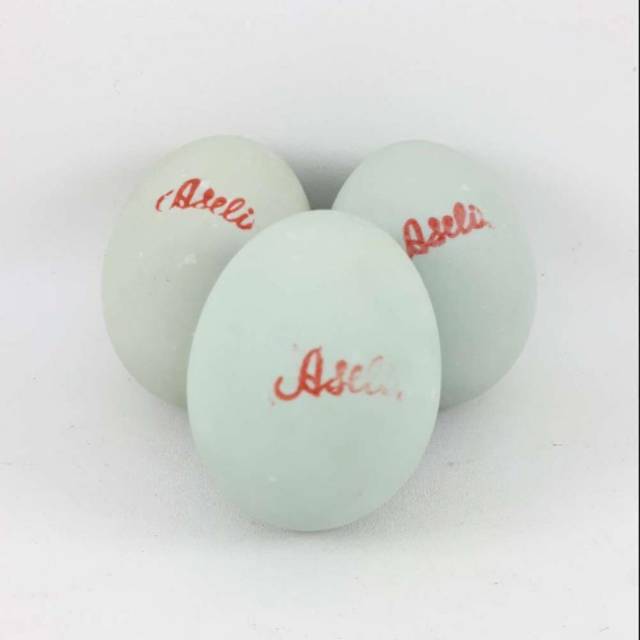 

TELOR ASIN NY.ROBOT ASLI CIREBON