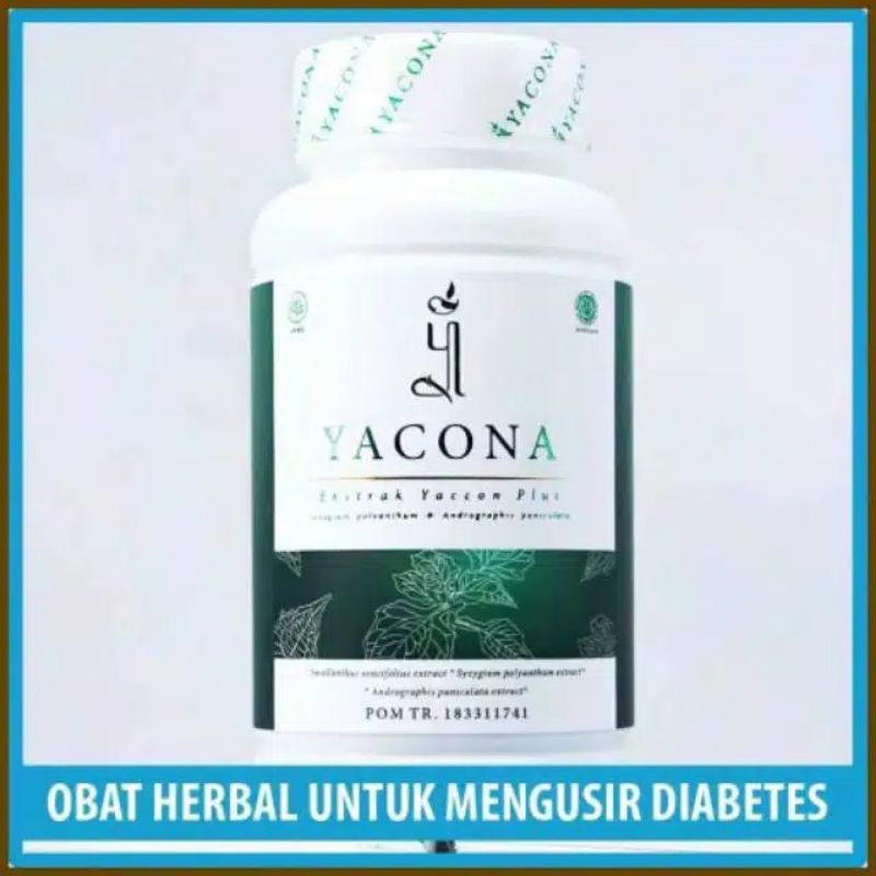 Yacona 100% Asli Obat Diabetes Mengatasi Kencing Manis Gula Darah Ampuh Yakona Herbal Original Bpom