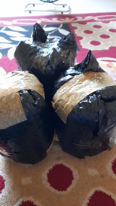 Toples Kaca Canister Tpn 5 Ss/d Kedawung Kig