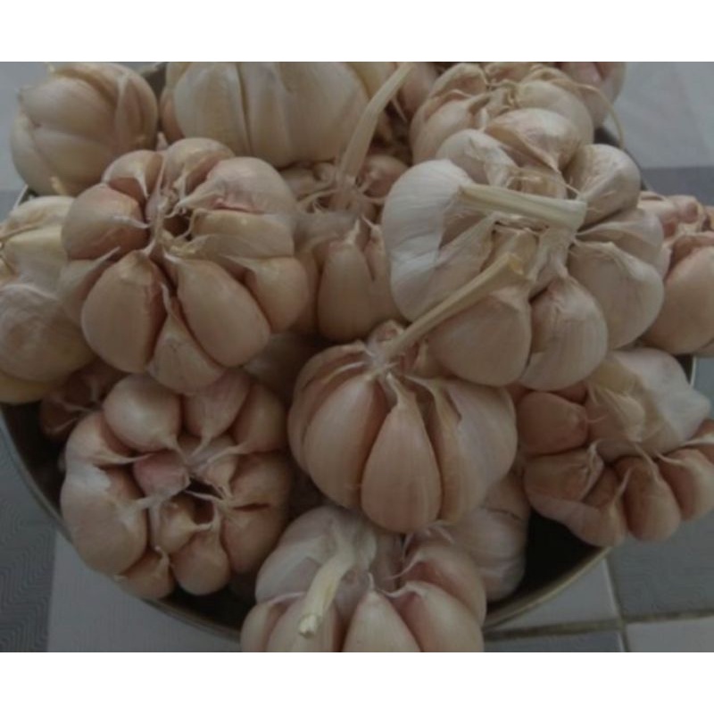 

Bawang putih ¼kg