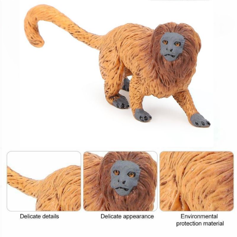 Miniatur Monyet / Monkeys / Monkey / Primates GOLDEN LION TAMARIN - TOOBS / SAFARI LTD / COLLECTA