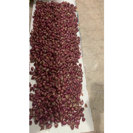 

bawang merah brebes 1Kg