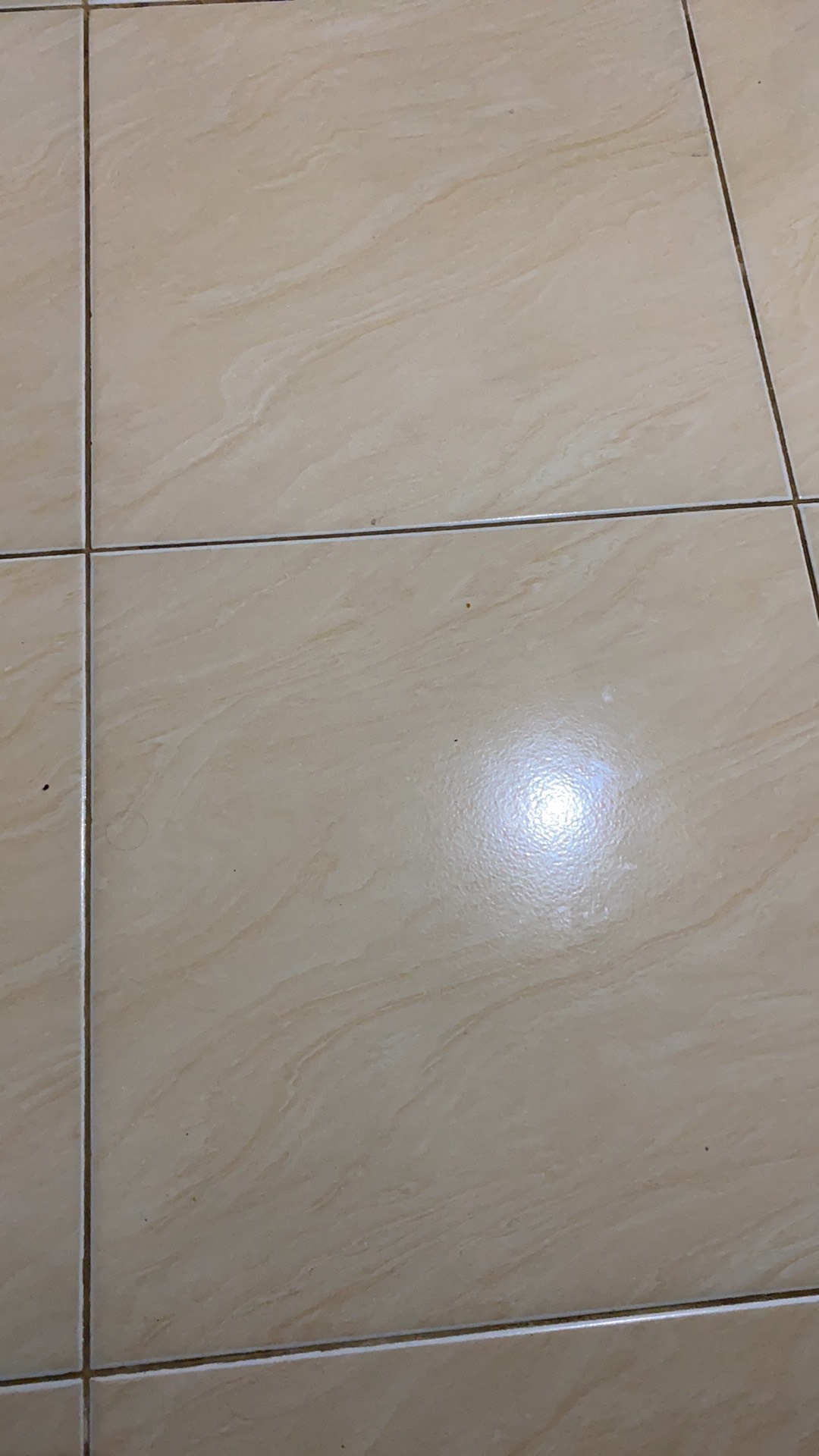 Tekiro Meteran Transparan 5 Meter