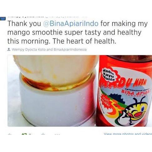 

Diskon Madu Kayumanis Bina Apiari 700g Diskon