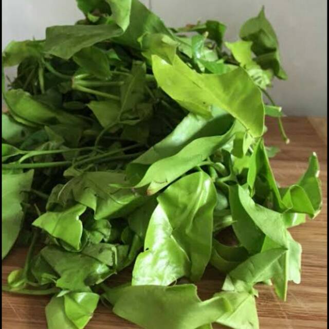 

Daun melinjo per bungkus