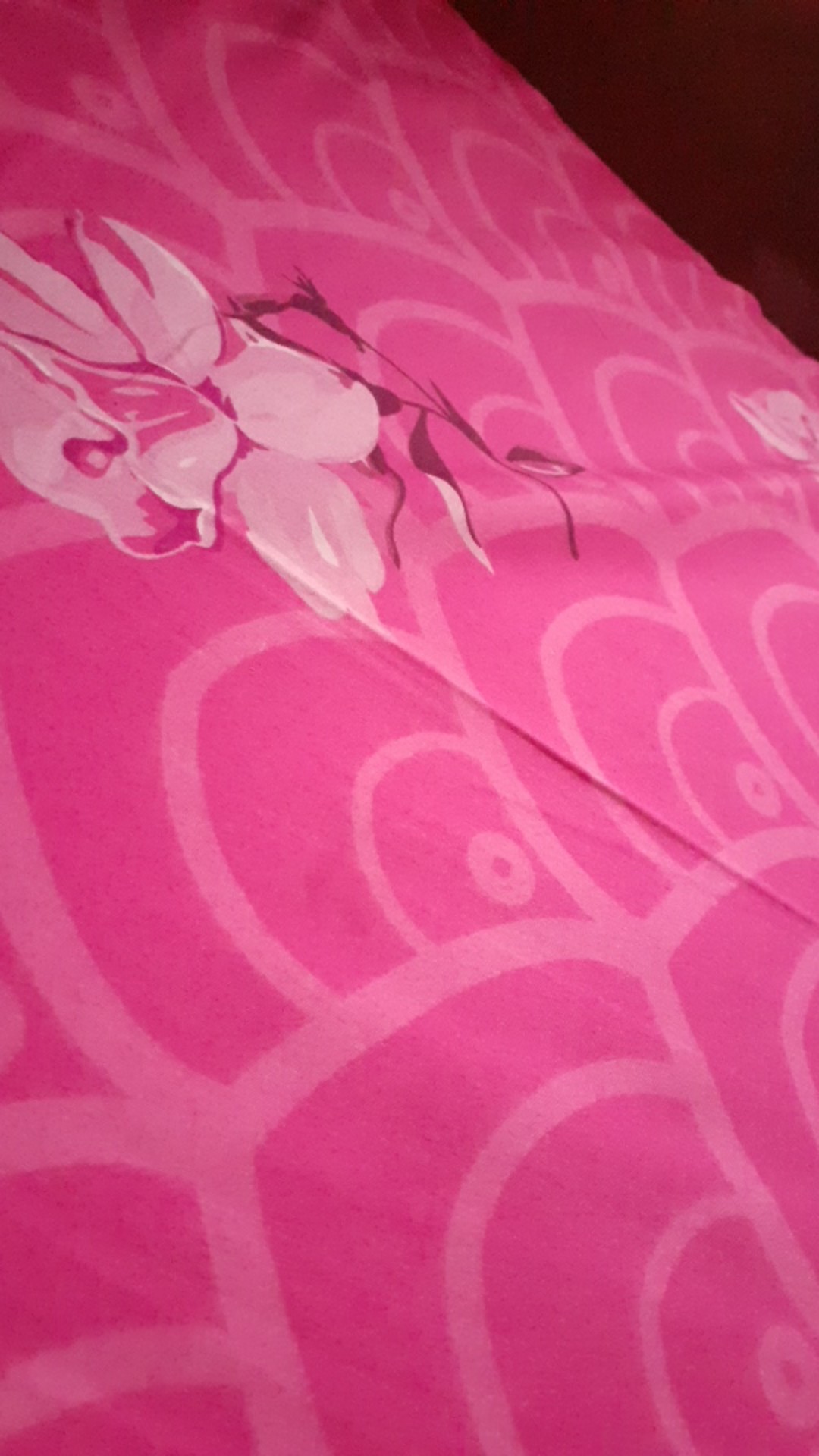 Seagull Kamper Toilet Ball [5 Pcs]