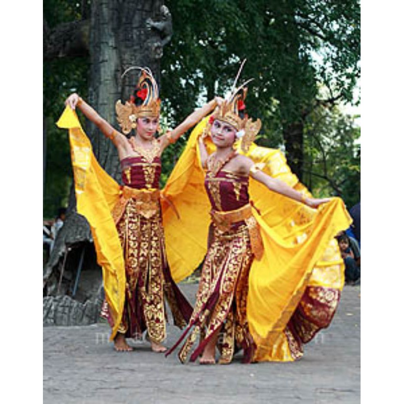 kostum tari cendrawasih
