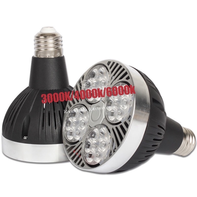 Lampu Led Par 30 35W / 35Watt SMD