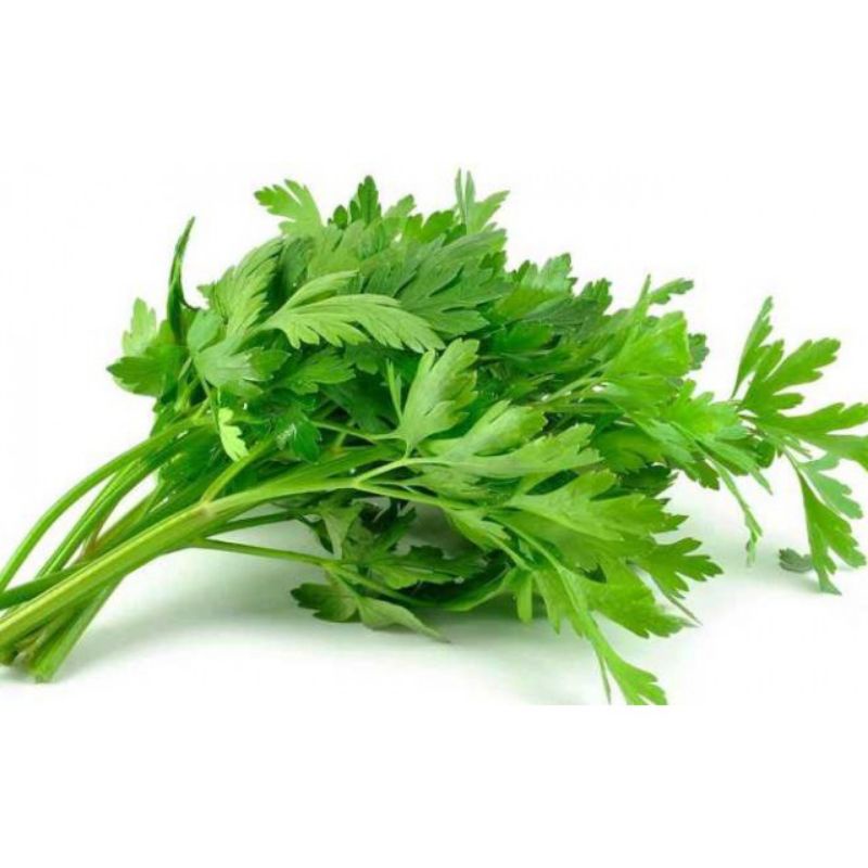 

Daun Seledri Pack 100gr Penyedap Dan Bumbu Masakan