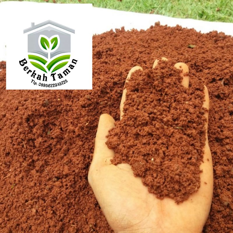tanah Merah penambahan media tanam (1karung) tanah merah murni penambahan media tanam