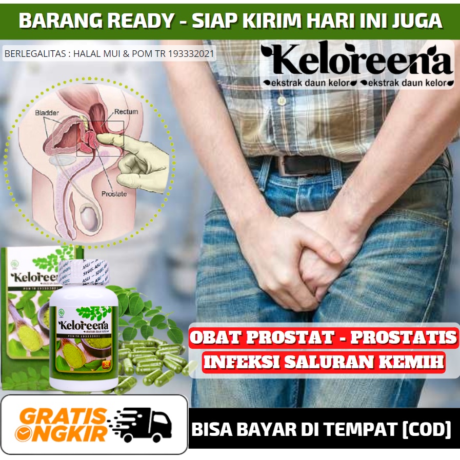 Obat Infeksi Saluran Kencing Pada Pria, Obat Herbal Penyakit Prostat Pria, Prostatis, Keloreena Asli