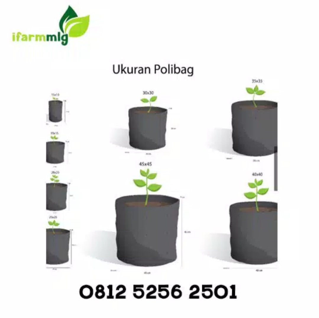 Polybag 20 X 20cm, Isi 20 Lembar