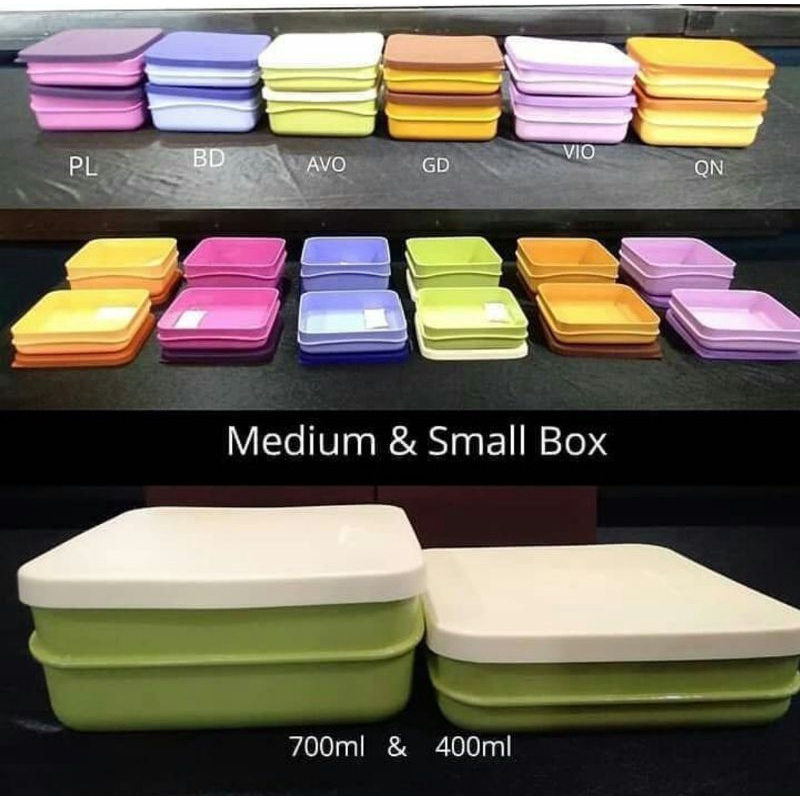 Medium box twin tulipware wadah bekal tulipware