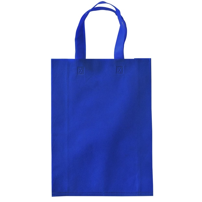 TOKO21GROSIR--TAS POLOS SPUNBOND GOODIE BAG UKURAN 25 X 35, 30X40 CM