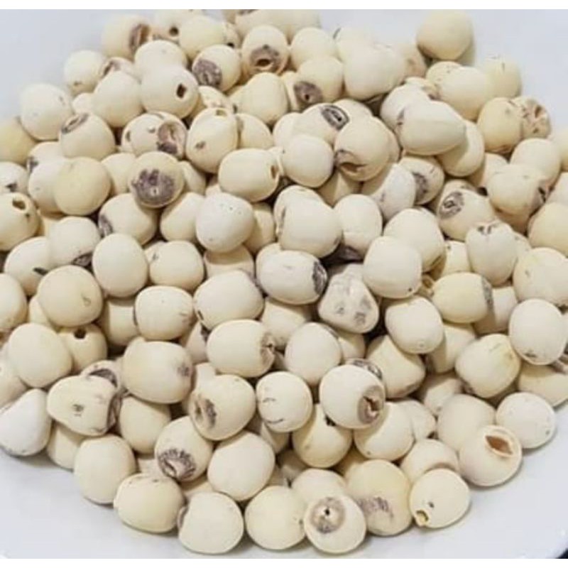 

Biji teratai / Lotus Seed (500 gr) / Lienci (500 gr)