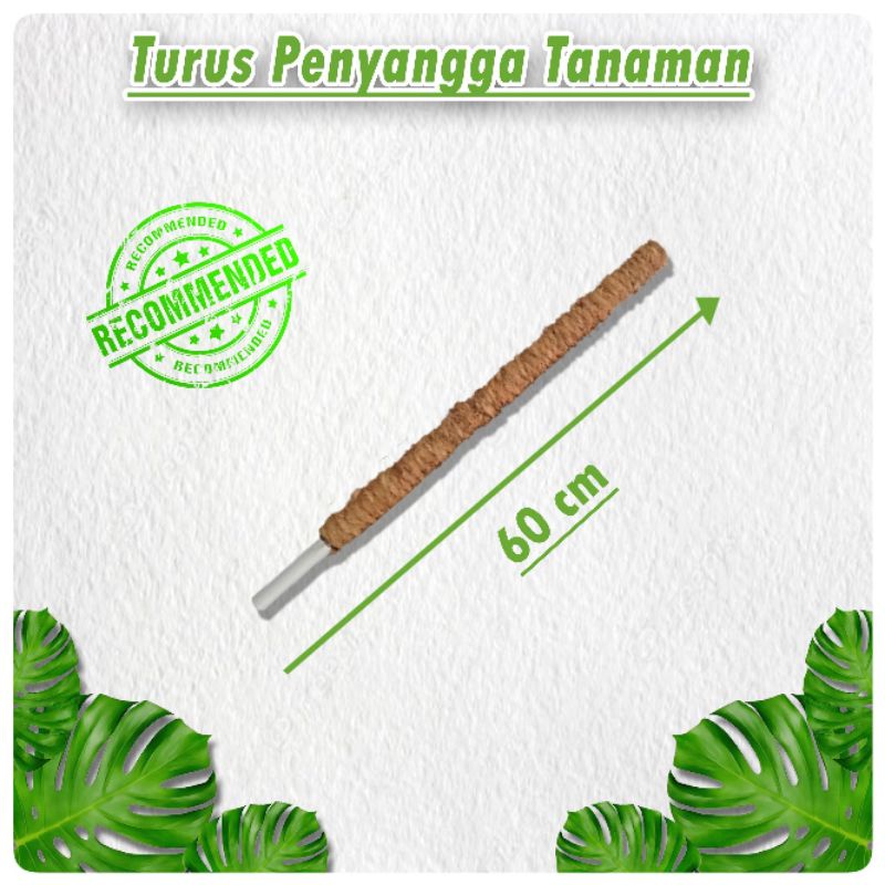 Turus Tanaman - Turus Pengangga Tanaman - Turus Tanaman Rambat