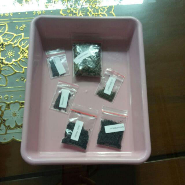 Nampan Semai Hidroponik Berkualitas