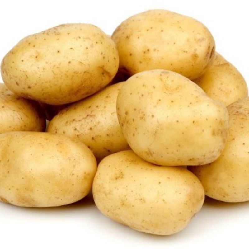 

kentang segar 500 gram