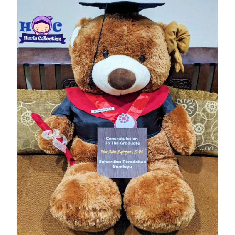 Boneka Wisuda Cokelat Jumbo