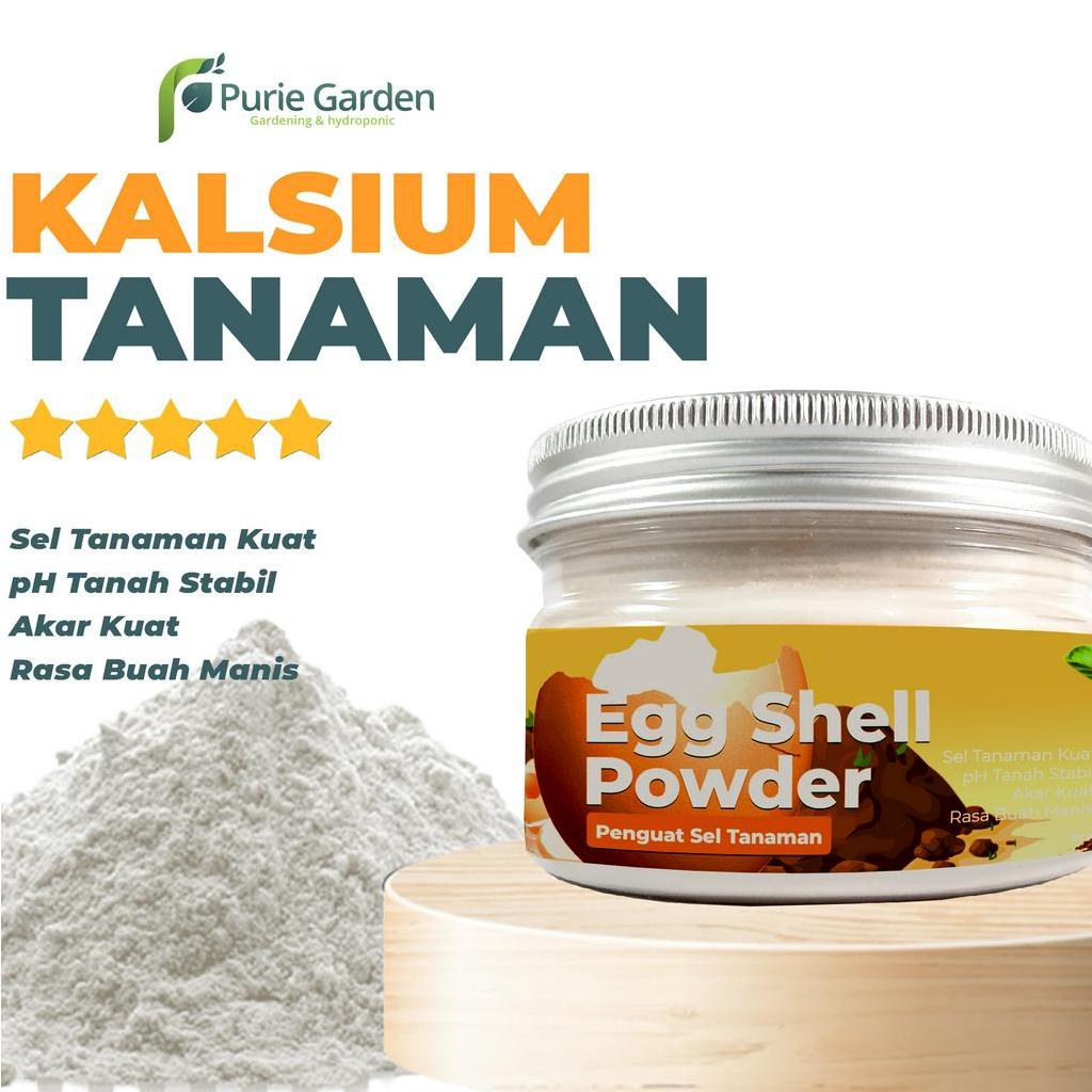 Kalsium Tanaman Egg Shell Penguat Sel PG KDR