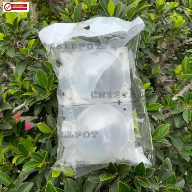 Tempat pot wadah nkt box media cangkok 5 cm - PACK ISI 5 PCS MINI