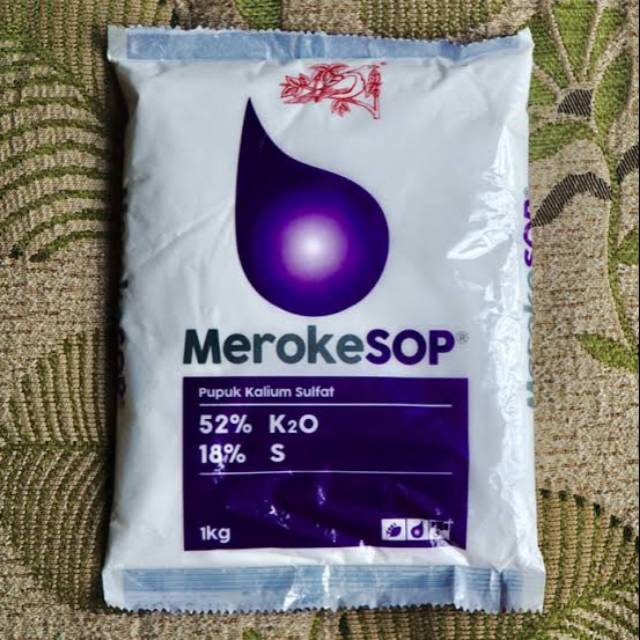 Pupuk meroke sop kalium sulfat