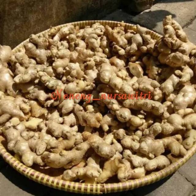 

Jahe emprit 100 gram