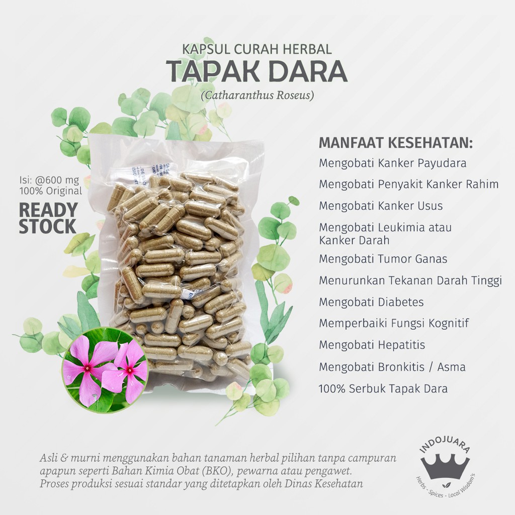 

TAPAK DARA 200 x 600mg Kapsul Curah Herbal Kanker Tumor Insomnia Hepatitis Batu Ginjal Insomnia Haid